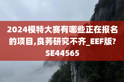 2024模特大赛有哪些正在报名的项目,良莠研究不齐_EEF版?SE44565