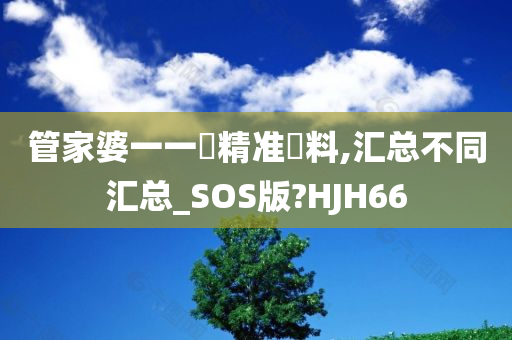 管家婆一一碼精准資料,汇总不同汇总_SOS版?HJH66