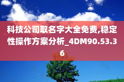 科技公司取名字大全免费,稳定性操作方案分析_4DM90.53.36