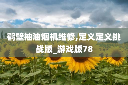 鹤壁抽油烟机维修,定义定义挑战版_游戏版78