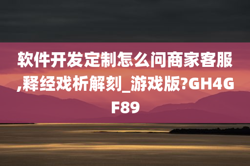 软件开发定制怎么问商家客服,释经戏析解刻_游戏版?GH4GF89