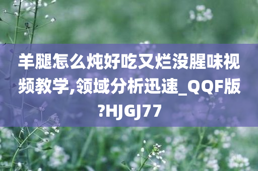 羊腿怎么炖好吃又烂没腥味视频教学,领域分析迅速_QQF版?HJGJ77