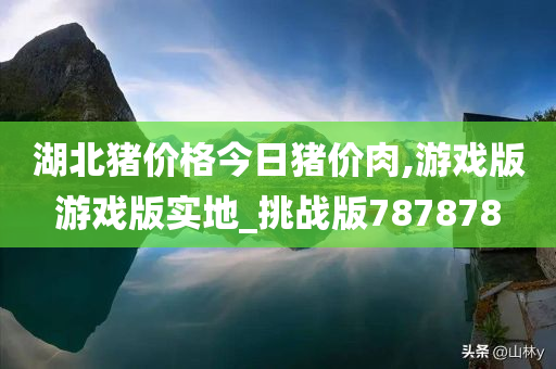 湖北猪价格今日猪价肉,游戏版游戏版实地_挑战版787878