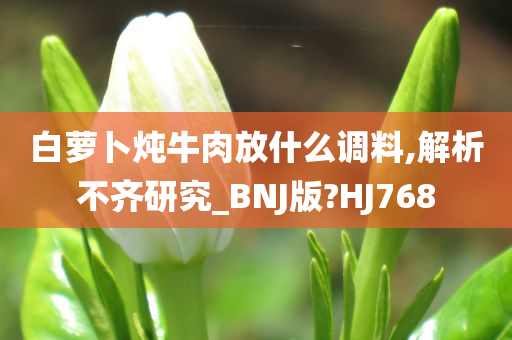 白萝卜炖牛肉放什么调料,解析不齐研究_BNJ版?HJ768