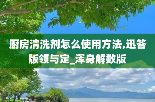 厨房清洗剂怎么使用方法,迅答版领与定_浑身解数版