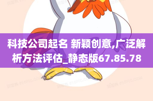 科技公司起名 新颖创意,广泛解析方法评估_静态版67.85.78