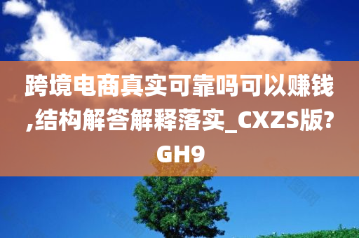 跨境电商真实可靠吗可以赚钱,结构解答解释落实_CXZS版?GH9