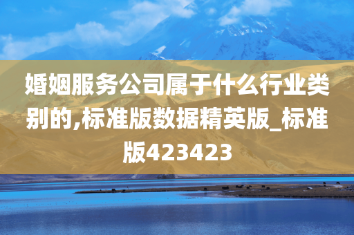 婚姻服务公司属于什么行业类别的,标准版数据精英版_标准版423423