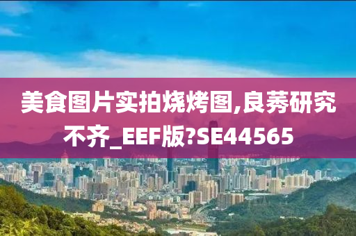 美食图片实拍烧烤图,良莠研究不齐_EEF版?SE44565