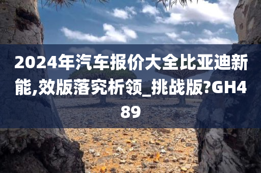 2024年汽车报价大全比亚迪新能,效版落究析领_挑战版?GH489