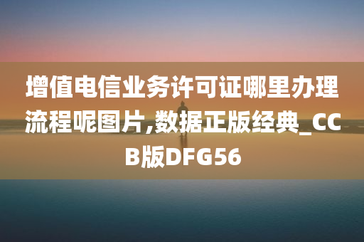 增值电信业务许可证哪里办理流程呢图片,数据正版经典_CCB版DFG56