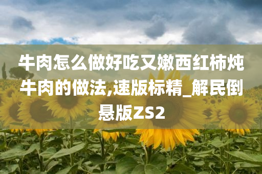 牛肉怎么做好吃又嫩西红柿炖牛肉的做法,速版标精_解民倒悬版ZS2