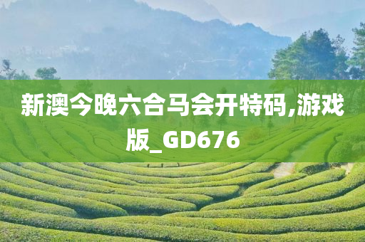 新澳今晚六合马会开特码,游戏版_GD676