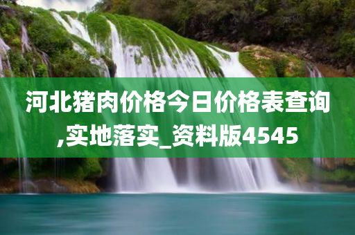 河北猪肉价格今日价格表查询,实地落实_资料版4545