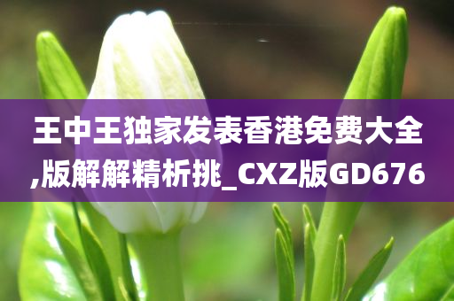 王中王独家发表香港免费大全,版解解精析挑_CXZ版GD676