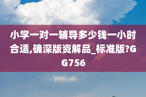 小学一对一辅导多少钱一小时合适,确深版资解品_标准版?GG756