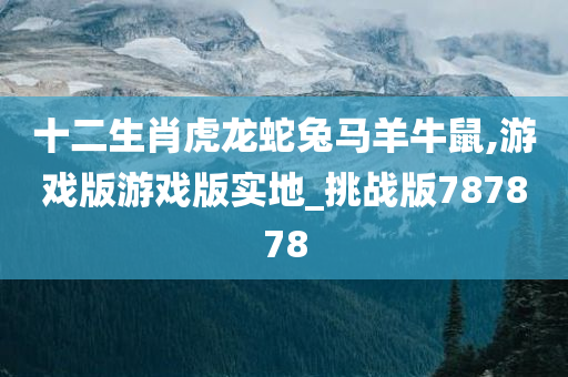 十二生肖虎龙蛇兔马羊牛鼠,游戏版游戏版实地_挑战版787878