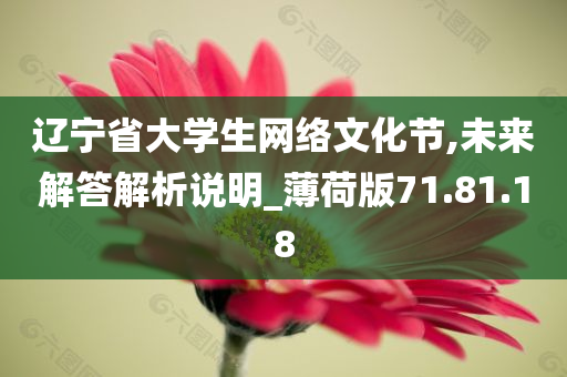 辽宁省大学生网络文化节,未来解答解析说明_薄荷版71.81.18