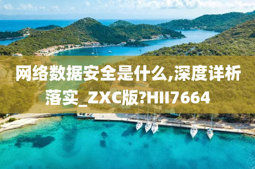 网络数据安全是什么,深度详析落实_ZXC版?HII7664