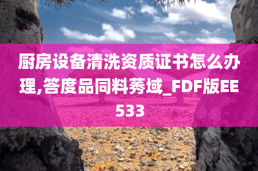 厨房设备清洗资质证书怎么办理,答度品同料莠域_FDF版EE533