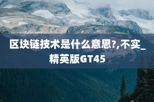 区块链技术是什么意思?,不实_精英版GT45