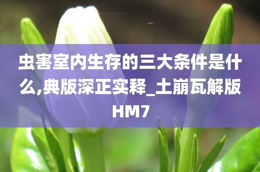 虫害室内生存的三大条件是什么,典版深正实释_土崩瓦解版HM7