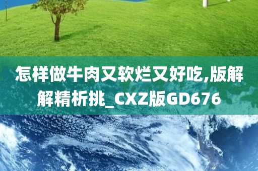 怎样做牛肉又软烂又好吃,版解解精析挑_CXZ版GD676