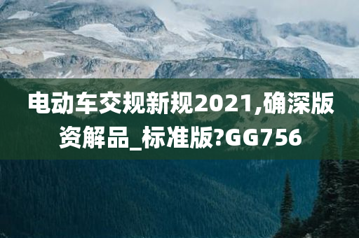 电动车交规新规2021,确深版资解品_标准版?GG756