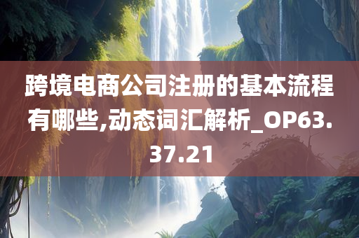 跨境电商公司注册的基本流程有哪些,动态词汇解析_OP63.37.21