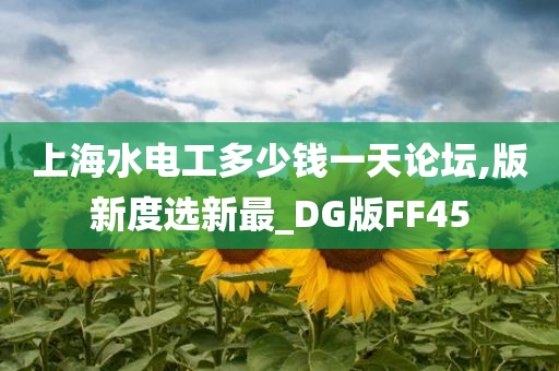 上海水电工多少钱一天论坛,版新度选新最_DG版FF45