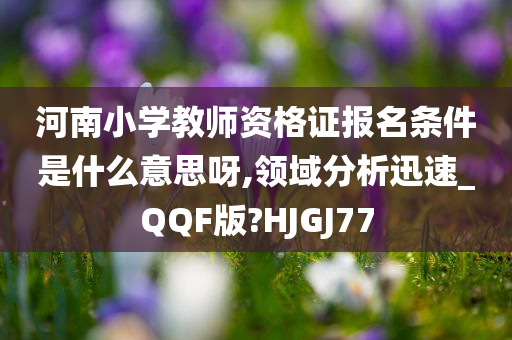 河南小学教师资格证报名条件是什么意思呀,领域分析迅速_QQF版?HJGJ77