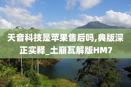 天音科技是苹果售后吗,典版深正实释_土崩瓦解版HM7