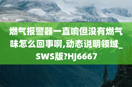 燃气报警器一直响但没有燃气味怎么回事啊,动态说明领域_SWS版?HJ6667