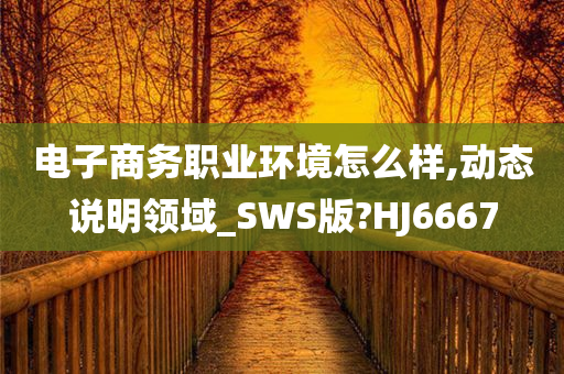 电子商务职业环境怎么样,动态说明领域_SWS版?HJ6667