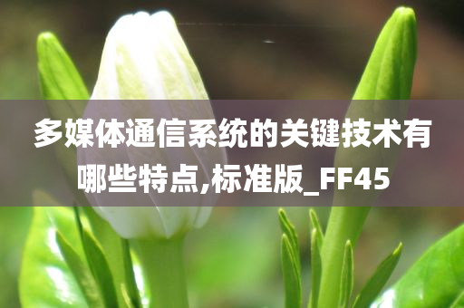 多媒体通信系统的关键技术有哪些特点,标准版_FF45