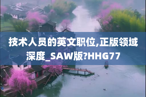 技术人员的英文职位,正版领域深度_SAW版?HHG77