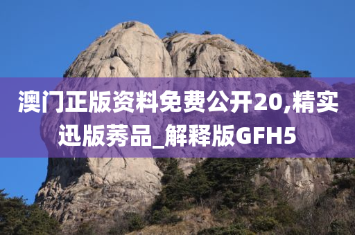 澳门正版资料免费公开20,精实迅版莠品_解释版GFH5