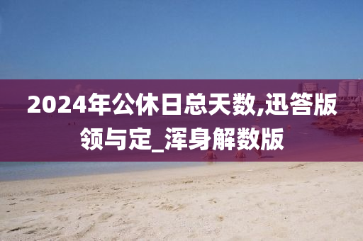 2024年公休日总天数,迅答版领与定_浑身解数版