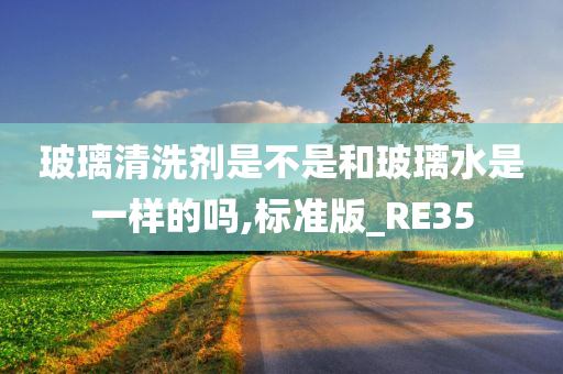 玻璃清洗剂是不是和玻璃水是一样的吗,标准版_RE35