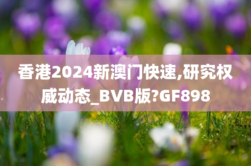 香港2024新澳门快速,研究权威动态_BVB版?GF898