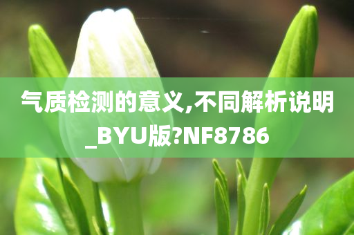 气质检测的意义,不同解析说明_BYU版?NF8786