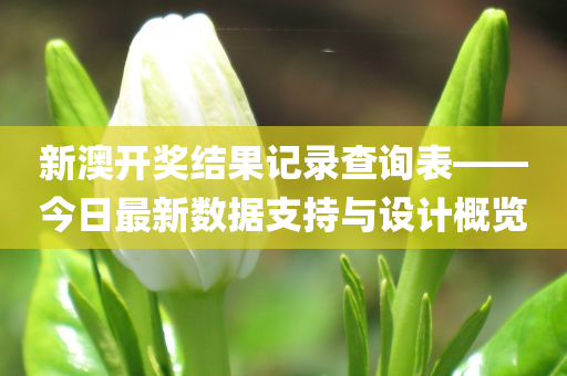 新澳开奖结果记录查询表——今日最新数据支持与设计概览