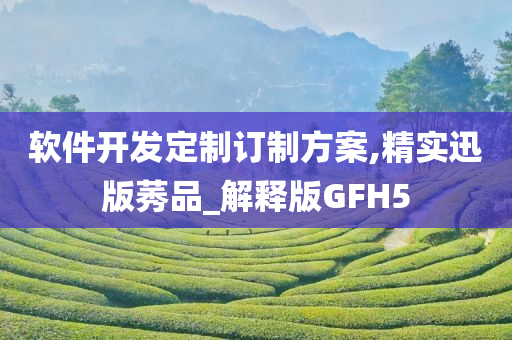 软件开发定制订制方案,精实迅版莠品_解释版GFH5