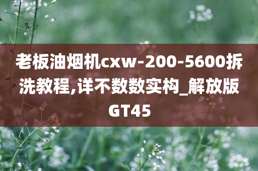 老板油烟机cxw-200-5600拆洗教程,详不数数实构_解放版GT45