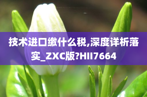 技术进口缴什么税,深度详析落实_ZXC版?HII7664