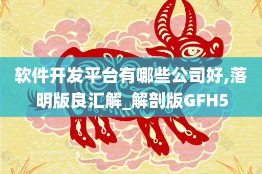 软件开发平台有哪些公司好,落明版良汇解_解剖版GFH5