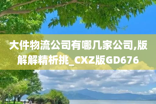 大件物流公司有哪几家公司,版解解精析挑_CXZ版GD676