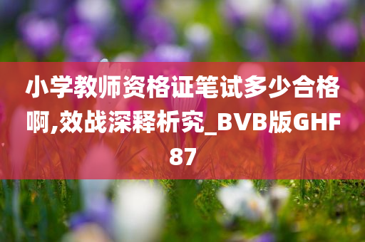 小学教师资格证笔试多少合格啊,效战深释析究_BVB版GHF87