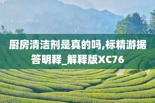 厨房清洁剂是真的吗,标精游据答明释_解释版XC76