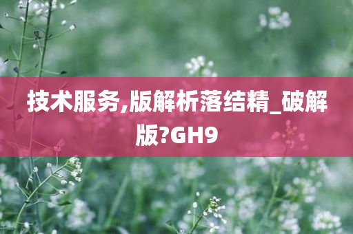 技术服务,版解析落结精_破解版?GH9